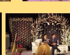 Branch & Crystal Stage Seating - Madhya Pradesh Event Management