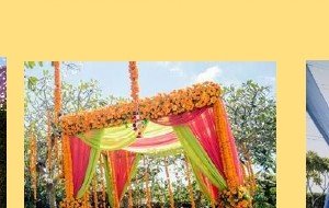 Greenery Wall with Marigold Swags - Madhya Pradesh Event Management