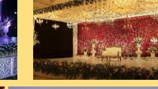 Reception Floral Wall Stage - Madhya Pradesh Event Management