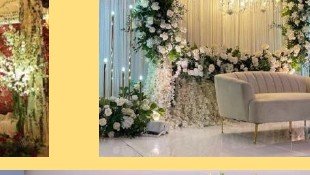 Greenery Arch Stage - Madhya Pradesh Event Management